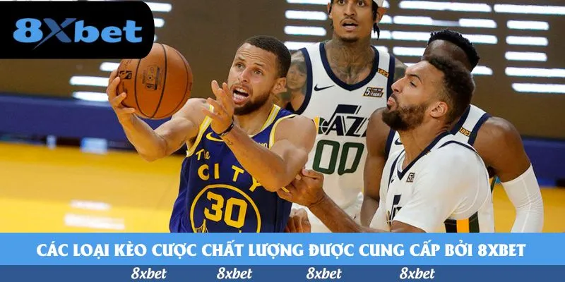 Các loại kèo cược chất lượng được cung cấp bởi 8xbet